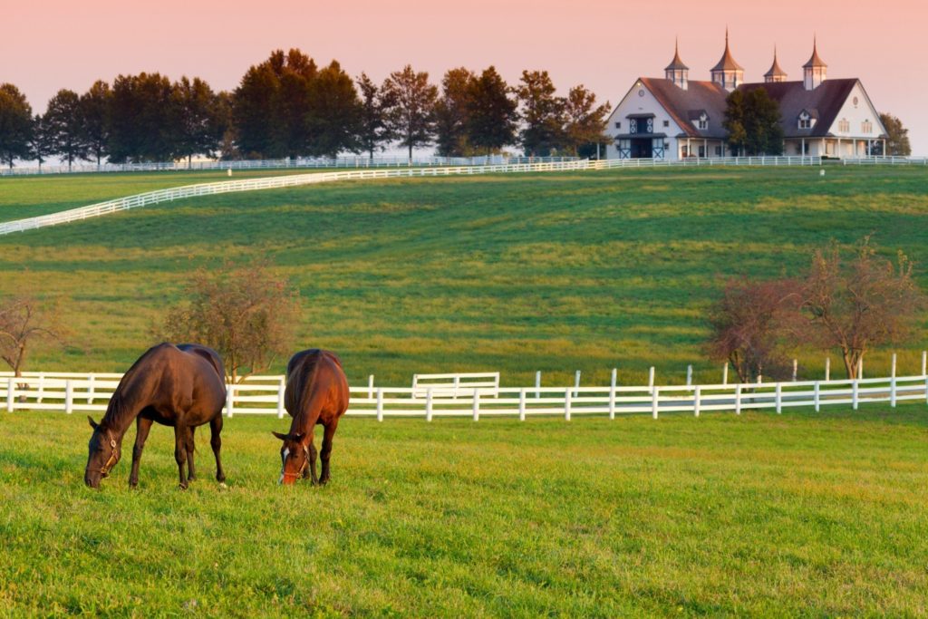 horse farm tours in versailles ky